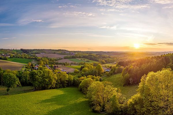 Hügelige Landschaft mit Bäumen und Wiesen bei Sonnenuntergang