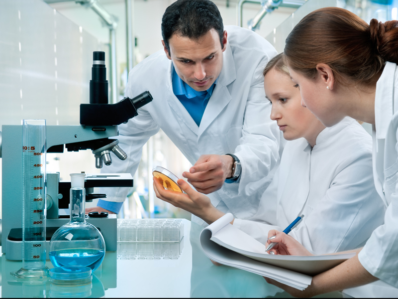 group of scientists working at the laboratory